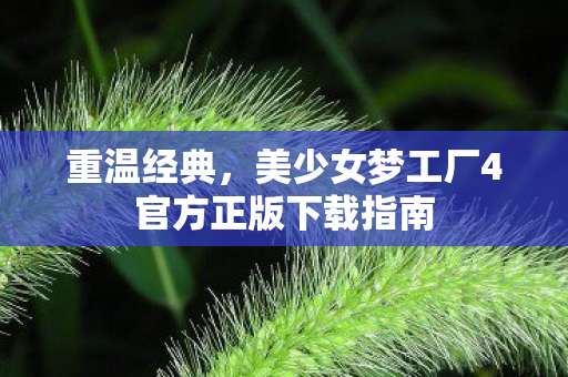重温经典，美少女梦工厂4官方正版下载指南