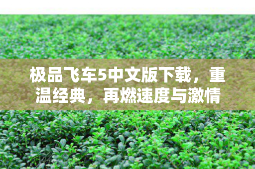 极品飞车5中文版下载，重温经典，再燃速度与激情