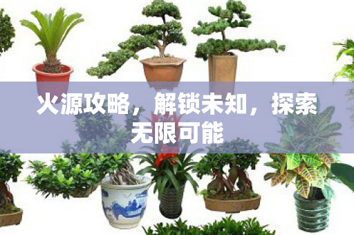 火源攻略，解锁未知，探索无限可能