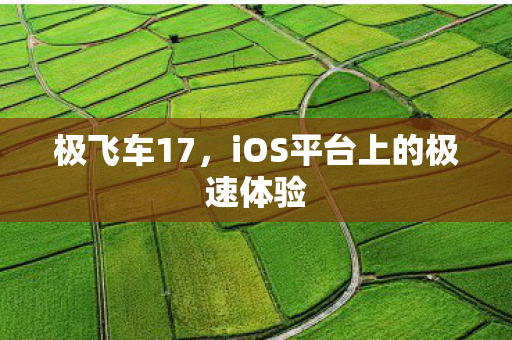 iOS平台上的极速体验图片