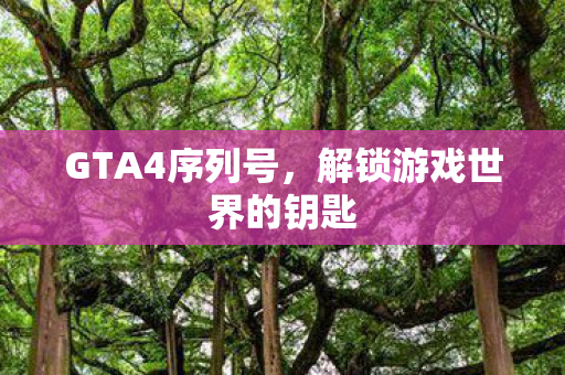 GTA4序列号，解锁游戏世界的钥匙