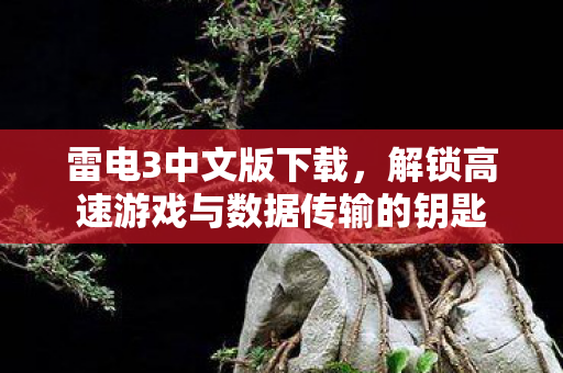 解锁高速游戏与数据传输的钥匙图片