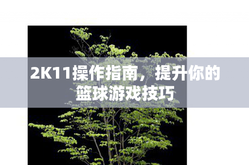 2K11操作指南，提升你的篮球游戏技巧