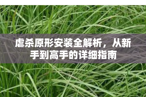 虐杀原形安装全解析，从新手到高手的详细指南