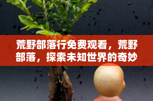 探索未知世界的奇妙之旅图片
