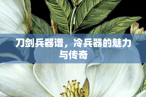 刀剑兵器谱，冷兵器的魅力与传奇