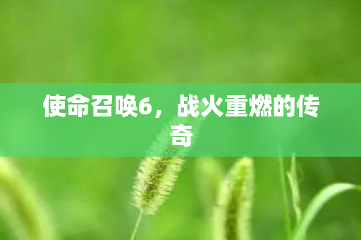 使命召唤6，战火重燃的传奇