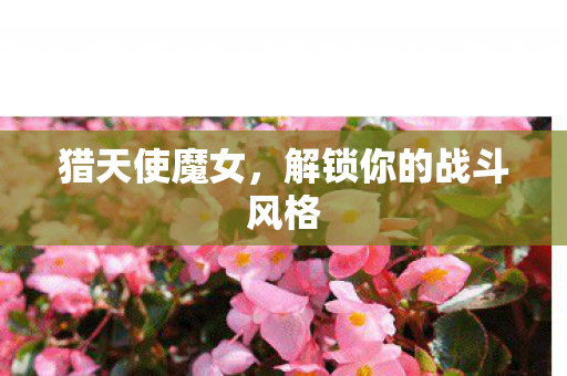 猎天使魔女，解锁你的战斗风格