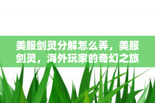 美服剑灵分解怎么弄，美服剑灵，海外玩家的奇幻之旅