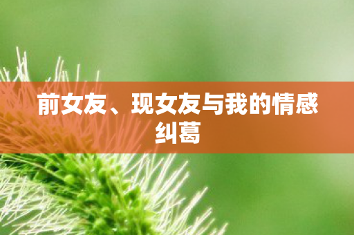 前女友、现女友与我的情感纠葛