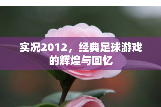 经典足球游戏的辉煌与回忆图片
