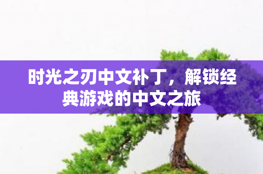 时光之刃中文补丁，解锁经典游戏的中文之旅