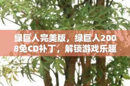 绿巨人完美版，绿巨人2008免CD补丁，解锁游戏乐趣的新途径