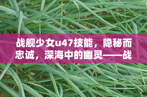 战舰少女u47技能图片