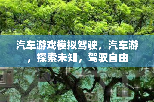 汽车游戏模拟驾驶，汽车游，探索未知，驾驭自由