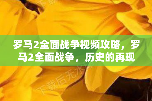 罗马2全面战争视频攻略图片