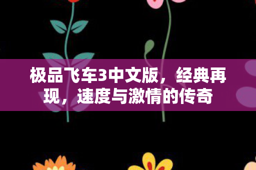 极品飞车3中文版，经典再现，速度与激情的传奇