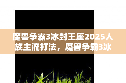 魔兽争霸3冰封王座2025人族主流打法图片