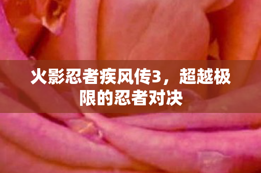 超越极限的忍者对决图片
