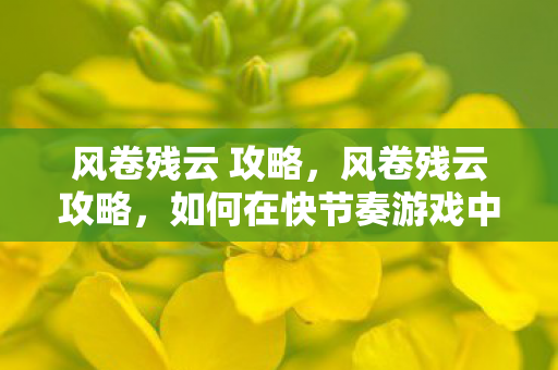 风卷残云 攻略，风卷残云攻略，如何在快节奏游戏中取得优势