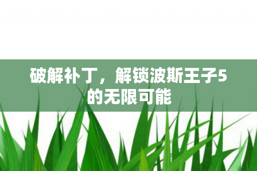 破解补丁，解锁波斯王子5的无限可能