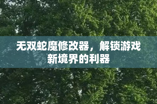 无双蛇魔修改器，解锁游戏新境界的利器