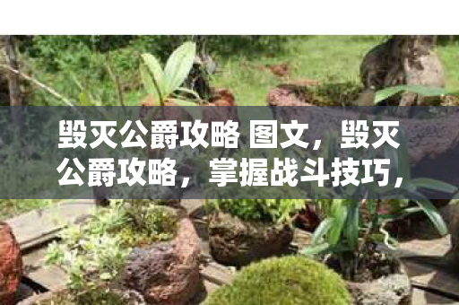 毁灭公爵攻略 图文，毁灭公爵攻略，掌握战斗技巧，征服无尽挑战