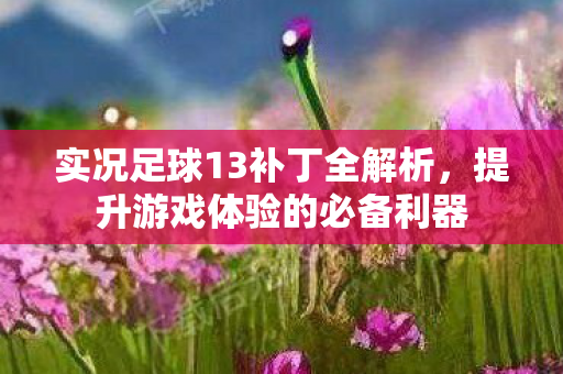 实况足球13补丁全解析，提升游戏体验的必备利器