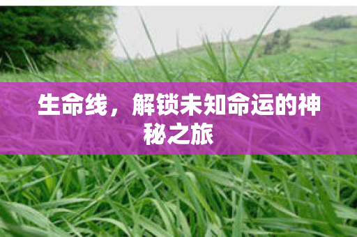 生命线，解锁未知命运的神秘之旅