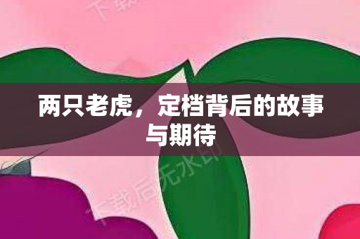 两只老虎，定档背后的故事与期待