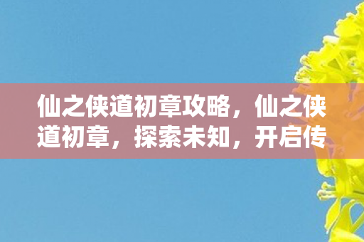 仙之侠道初章攻略图片