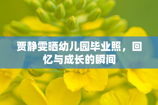 贾静雯晒幼儿园毕业照，回忆与成长的瞬间