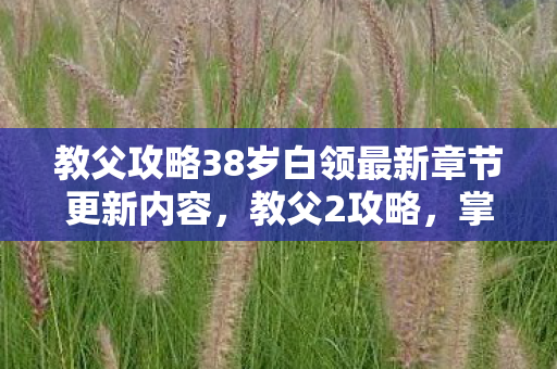 教父攻略38岁白领最新章节更新内容，教父2攻略，掌握权力与策略的艺术