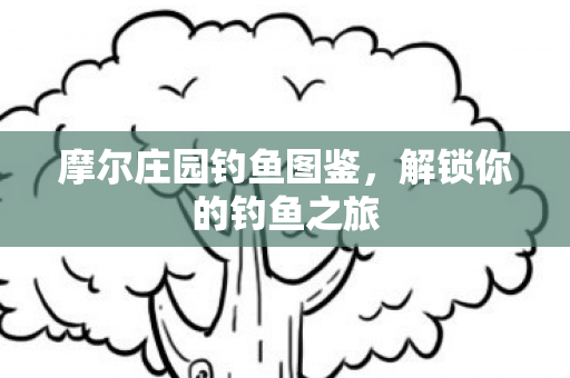 摩尔庄园钓鱼图鉴，解锁你的钓鱼之旅