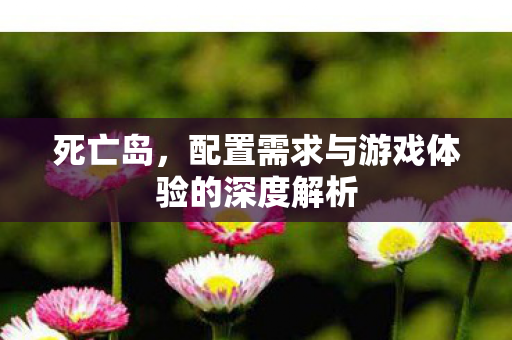死亡岛，配置需求与游戏体验的深度解析