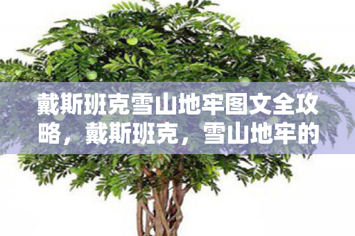 戴斯班克雪山地牢图文全攻略图片