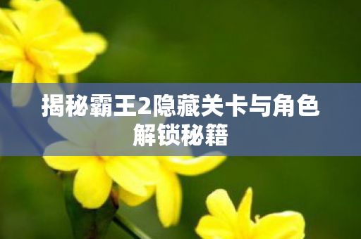 揭秘霸王2隐藏关卡与角色解锁秘籍