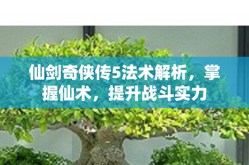 仙剑奇侠传5法术解析图片