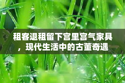租客退租留下宫里宫气家具，现代生活中的古董奇遇