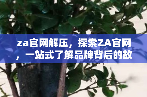 za官网解压，探索ZA官网，一站式了解品牌背后的故事