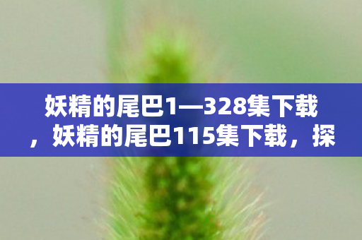 妖精的尾巴1—328集下载，妖精的尾巴115集下载，探索与冒险的继续