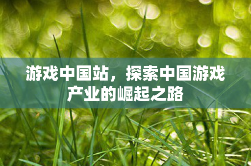 游戏中国站，探索中国游戏产业的崛起之路