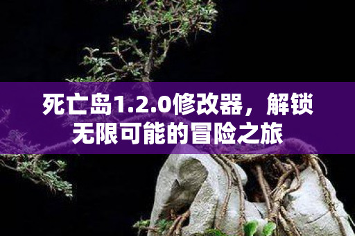 死亡岛1.2.0修改器，解锁无限可能的冒险之旅