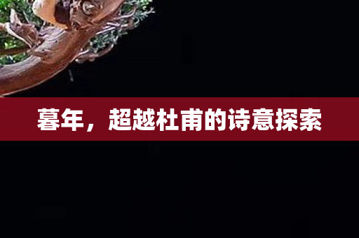 暮年，超越杜甫的诗意探索