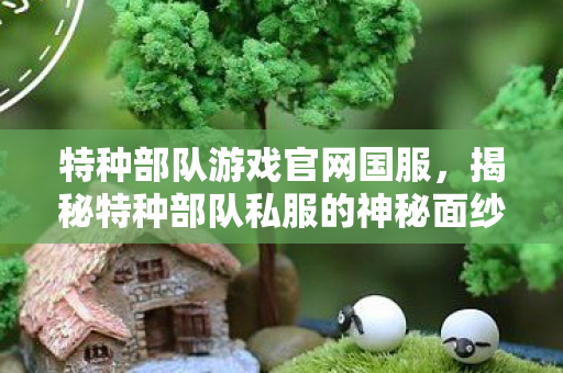 揭秘特种部队私服的神秘面纱图片