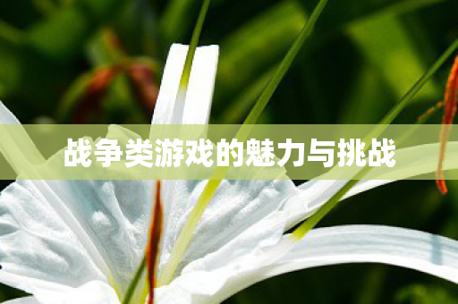 战争类游戏的魅力与挑战