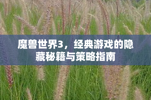 魔兽世界3，经典游戏的隐藏秘籍与策略指南