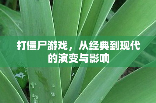 打僵尸游戏，从经典到现代的演变与影响