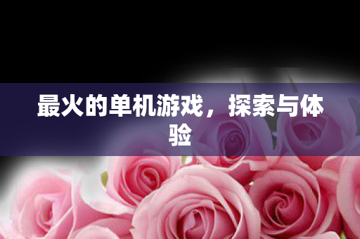 最火的单机游戏，探索与体验