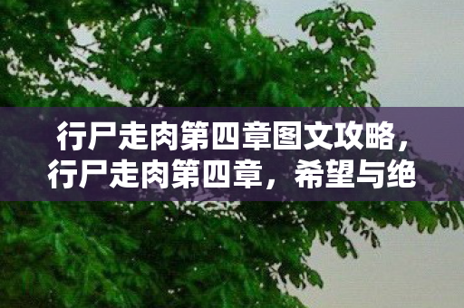 行尸走肉第四章图文攻略，行尸走肉第四章，希望与绝望的交织